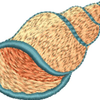 Conch Shell Thumbnail
